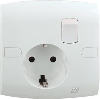 Electric Switches & Sockets