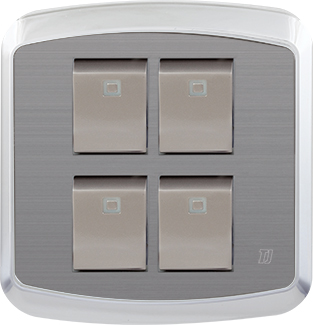 Electric Switches & Sockets