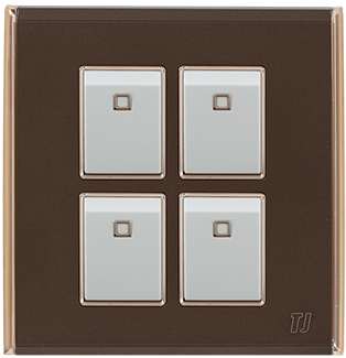 Electric Switches & Sockets