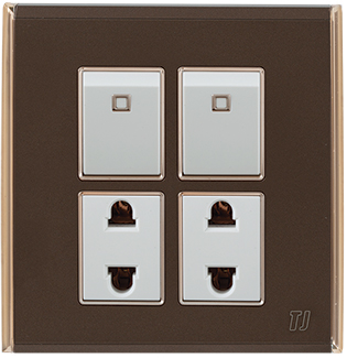 Electric Switches & Sockets