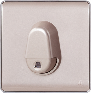 Electric Switches & Sockets