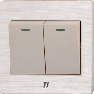 Electric Switches & Sockets