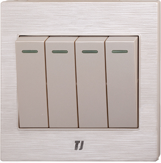 Electric Switches & Sockets