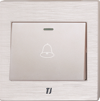 Electric Switches & Sockets