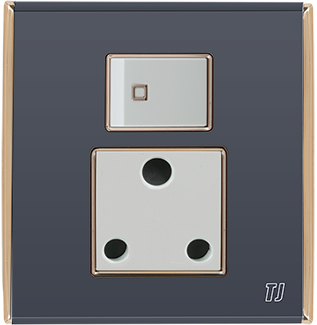 Electric Switches & Sockets