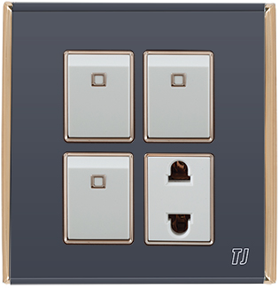 Electric Switches & Sockets