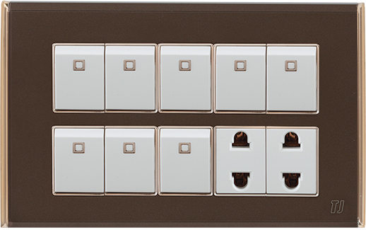 Electric Switches & Sockets