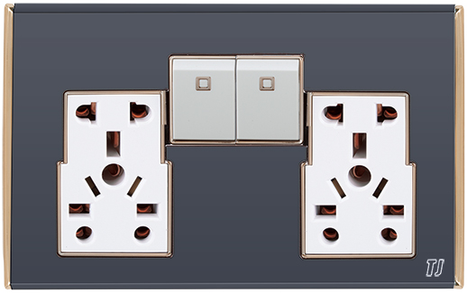 Electric Switches & Sockets